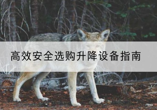 同安升降货梯厂家推荐-*安全选购升降设备指南