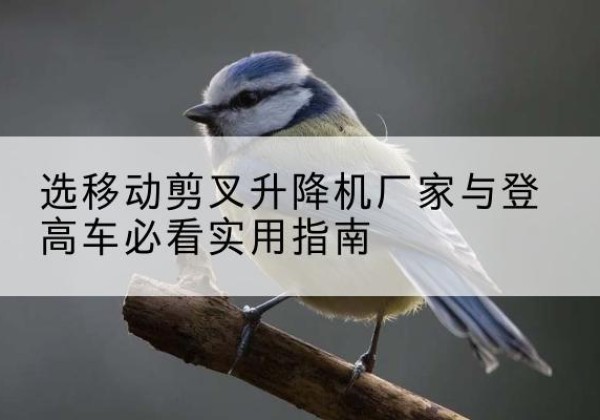 同安电动升降机厂家-选移动剪叉升降机厂家与登高车必看实用指南