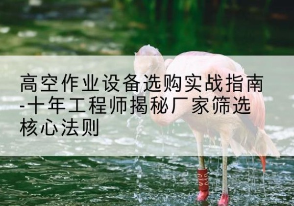 同安剪叉式升降机厂家-高空作业设备选购实战指南-十年工程师揭秘厂家筛选核心法则